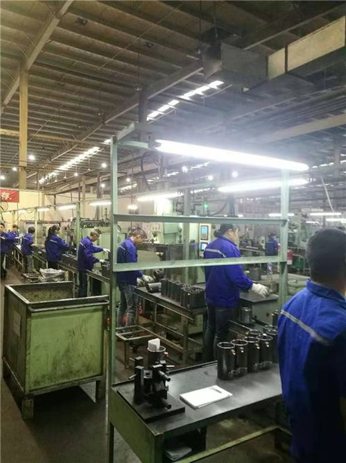 安徽錦卓人力資源 專業勞務派遣服務助力蕪湖企業高效發展