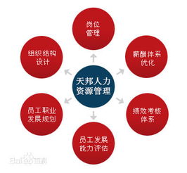 鄭州社保公積金代理、勞務派遣及人事外包服務市場概況